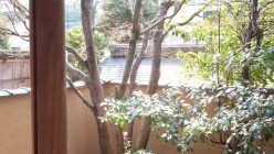 预览图8
