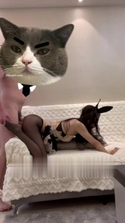 预览图5