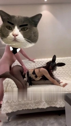 预览图8
