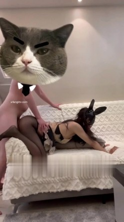 预览图9