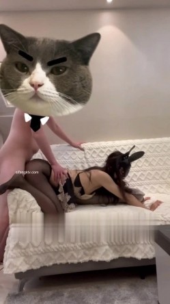 预览图10