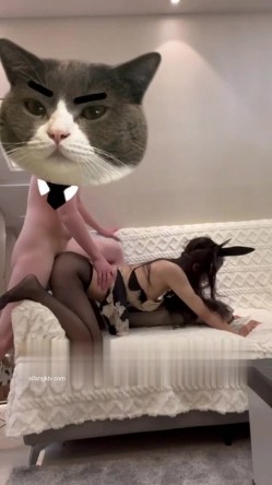 预览图12