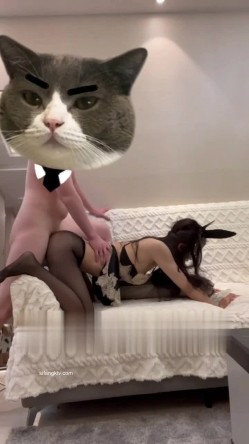 预览图13