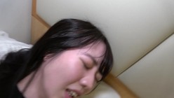 预览图4