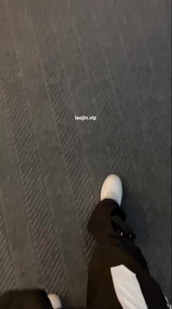 预览图9
