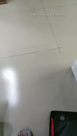 预览图2