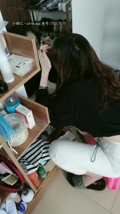 预览图4