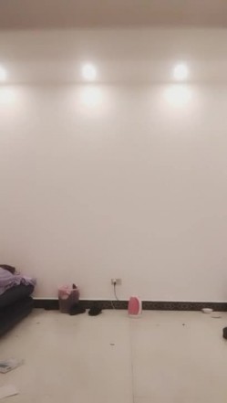 预览图5