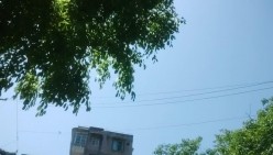 预览图5