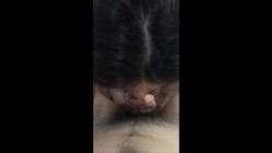 预览图13