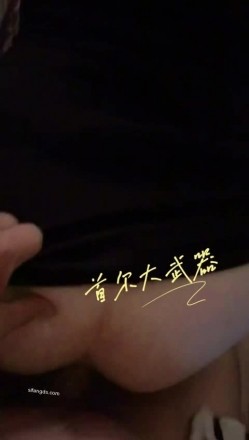 预览图4