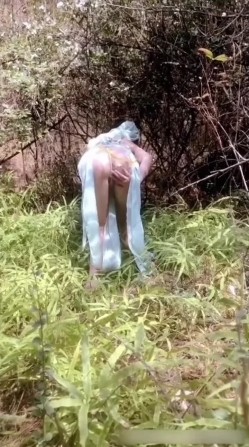 预览图1