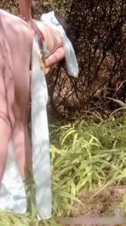 预览图8
