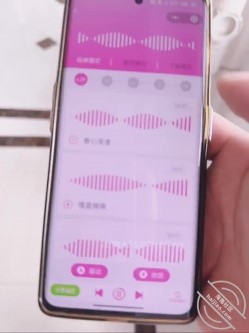 预览图14