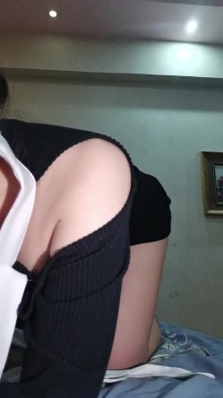预览图4