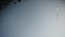 预览图16