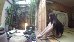 预览图2