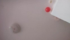 预览图10
