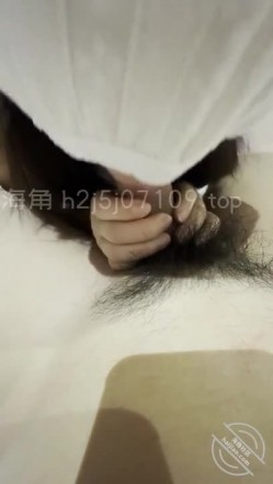 预览图4