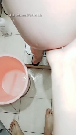 预览图15