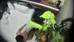 预览图1