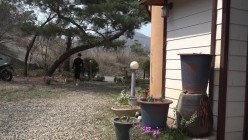预览图9