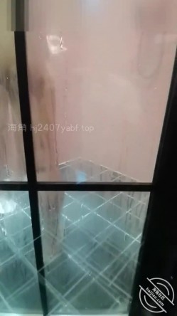 预览图8