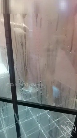 预览图12