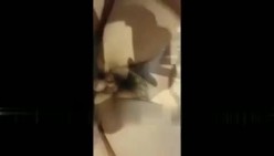 预览图9