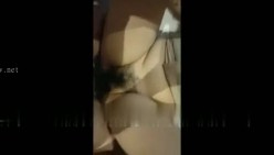 预览图13
