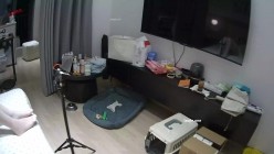 预览图8