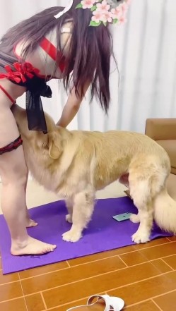预览图9