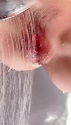 预览图16
