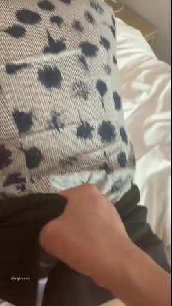 预览图14