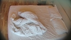 预览图4