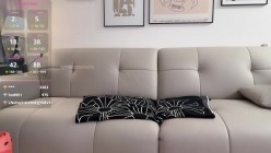 预览图4