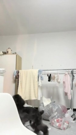 预览图16