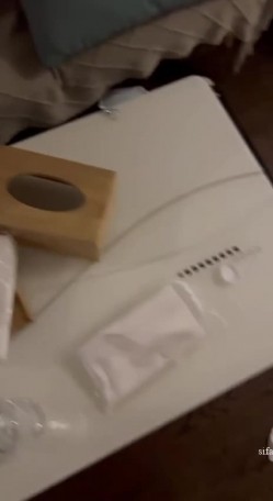 预览图9