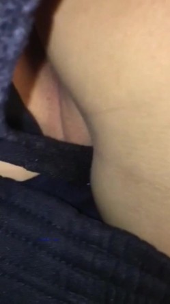预览图2