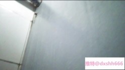 预览图6