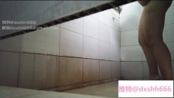 预览图8