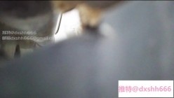 预览图11
