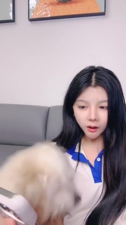 预览图8