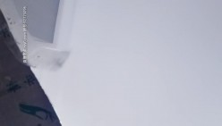 预览图4