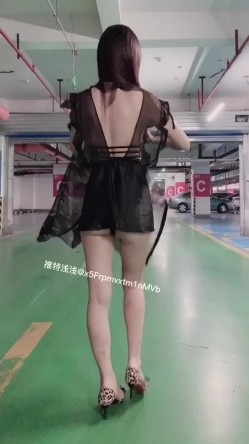 预览图11