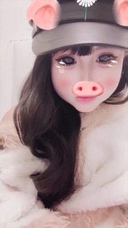 预览图13