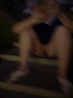 预览图4