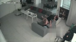 预览图13