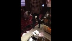 预览图13