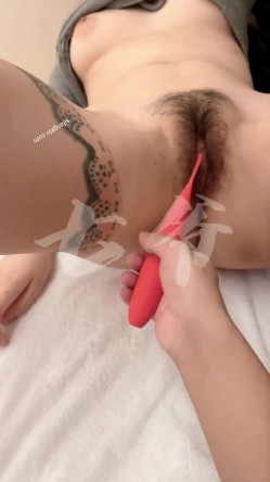 预览图16
